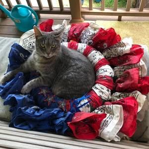 Meet your Posher, Linda